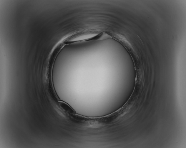 X0000086910392200705071308