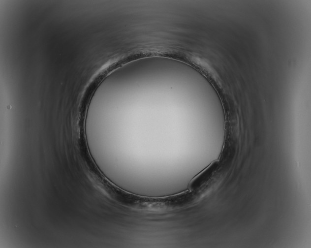 X0000086910395200705071308