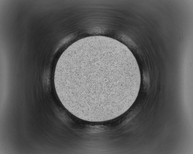 X0000086910396200705071308