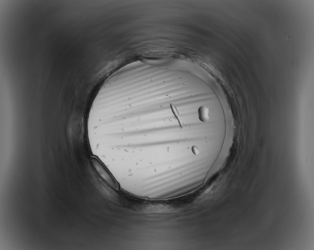 X0000086910397200705071308