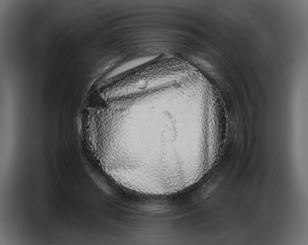 X0000086910398200705071308