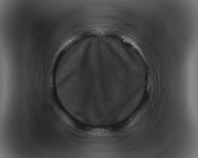 X0000086910399200705071308