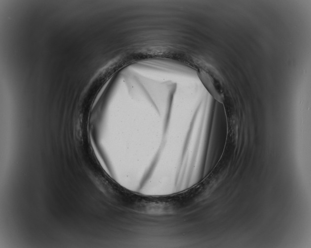 X0000086910400200705071308