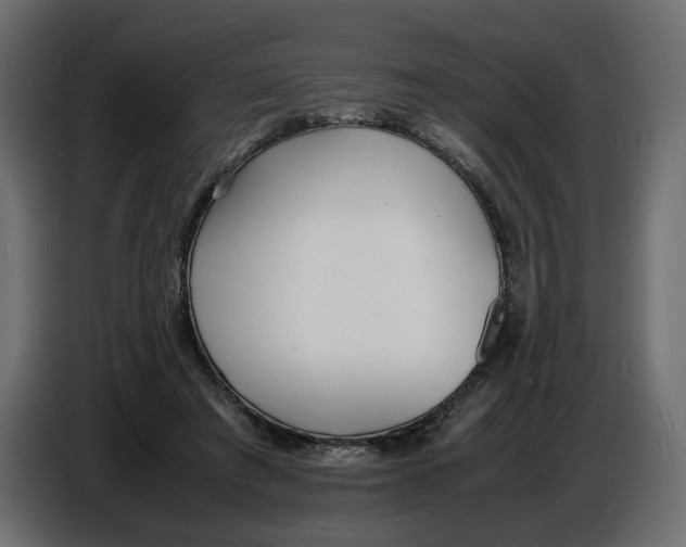 X0000086910401200705071308