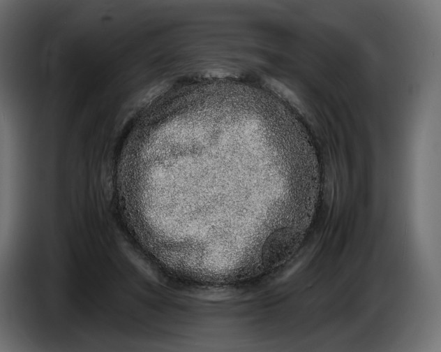 X0000086910402200705071308