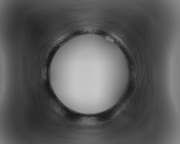 X0000086910403200705071308