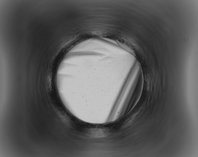 X0000086910404200705071308