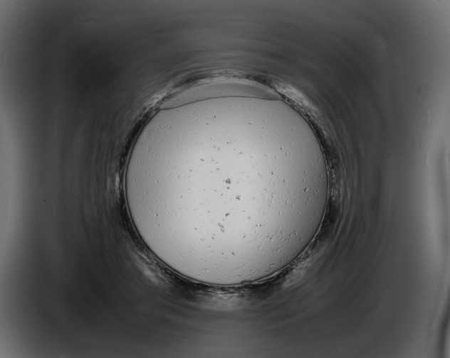 X0000086910405200705071308