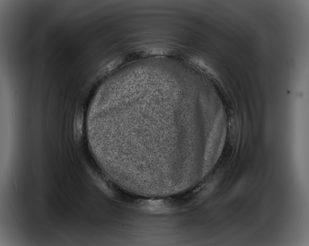 X0000086910406200705071308