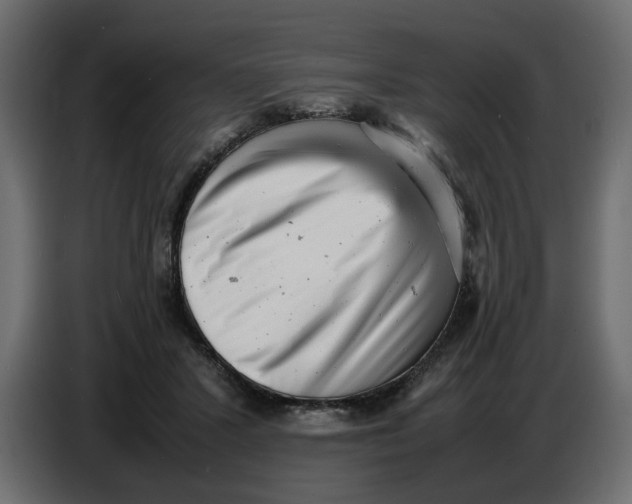 X0000086910407200705071308