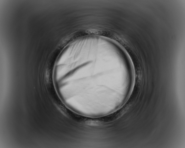 X0000086910408200705071308