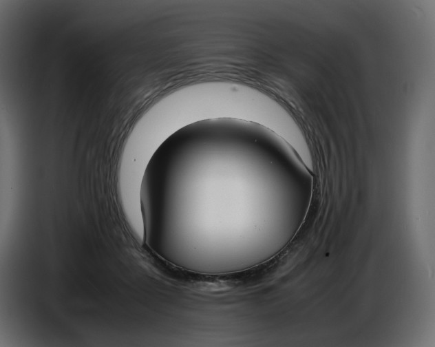 X0000086910411200705071308