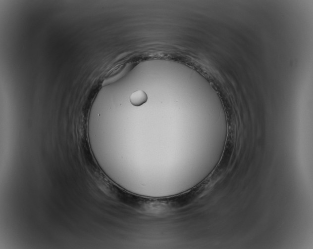 X0000086910413200705071308