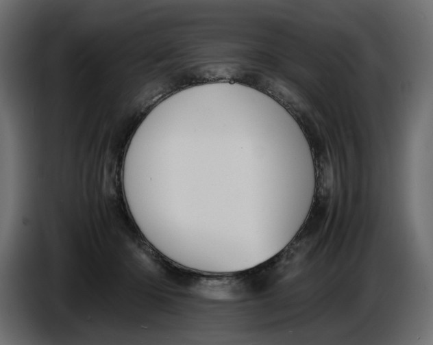 X0000086910414200705071308