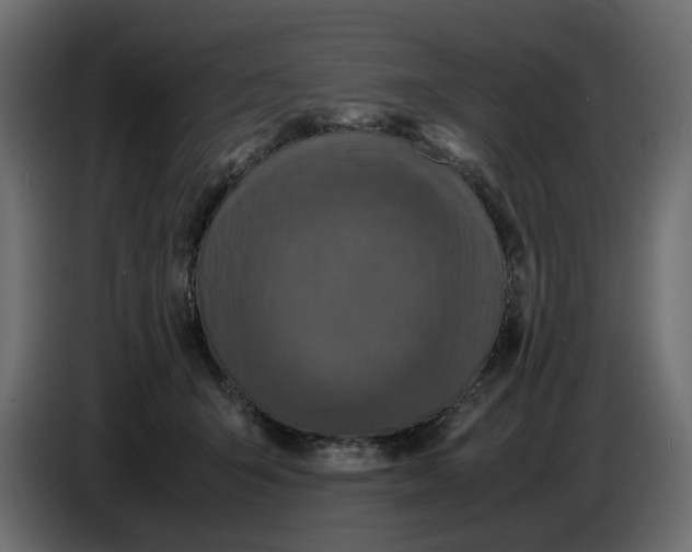 X0000086910415200705071308