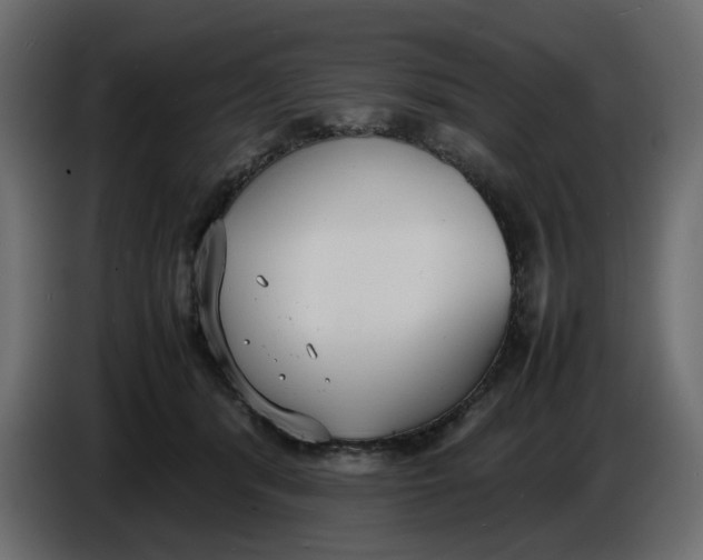 X0000086910416200705071308