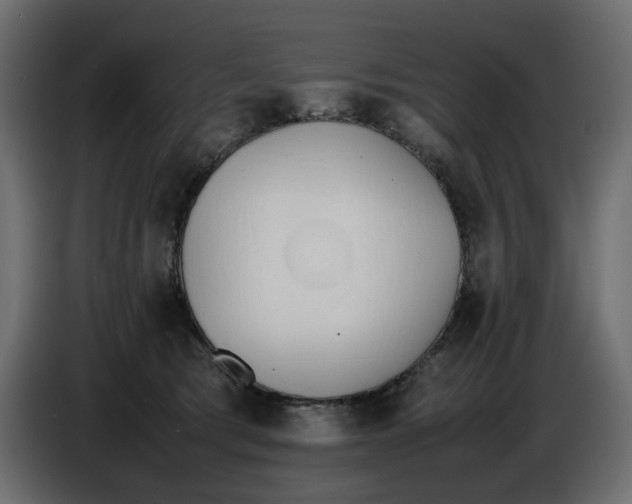 X0000086910417200705071308