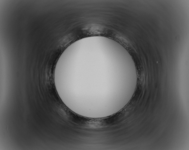 X0000086910418200705071308