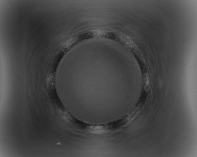 X0000086910419200705071308