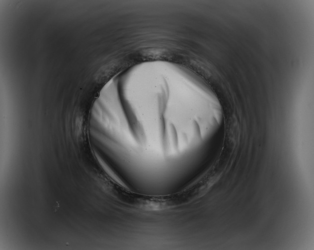 X0000086910420200705071308