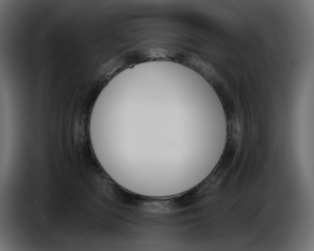 X0000086910422200705071308