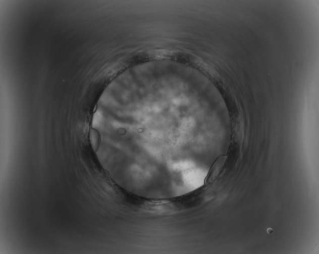 X0000086910427200705071307