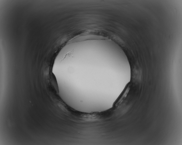 X0000086910428200705071307