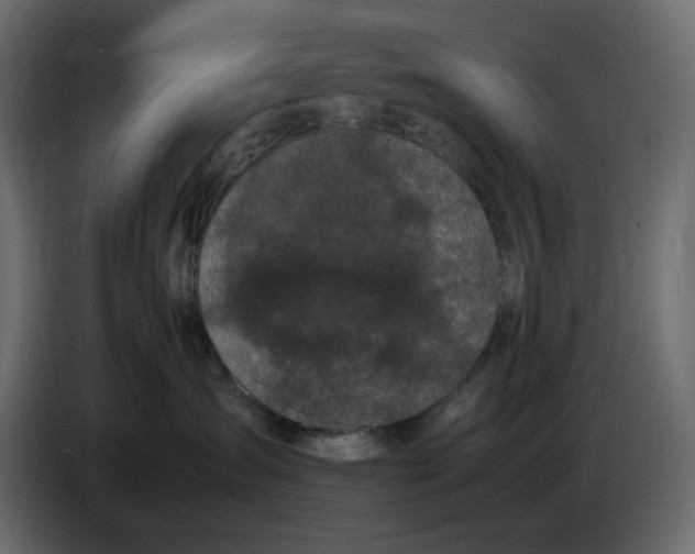 X0000086910431200705071307