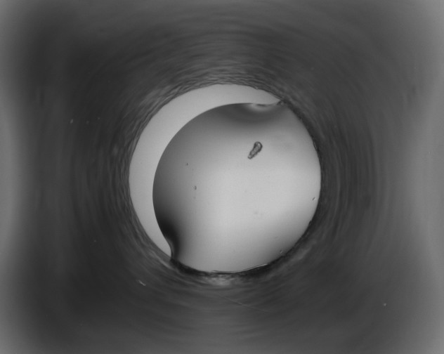 X0000086910432200705071307