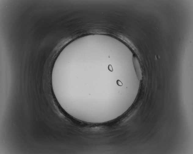 X0000086910433200705071307