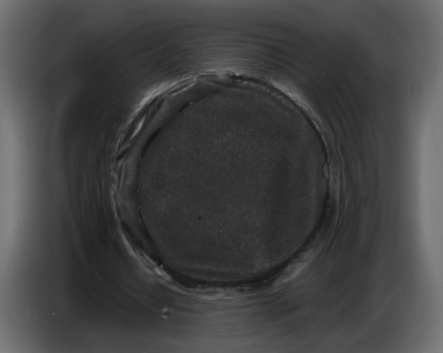 X0000086910434200705071307