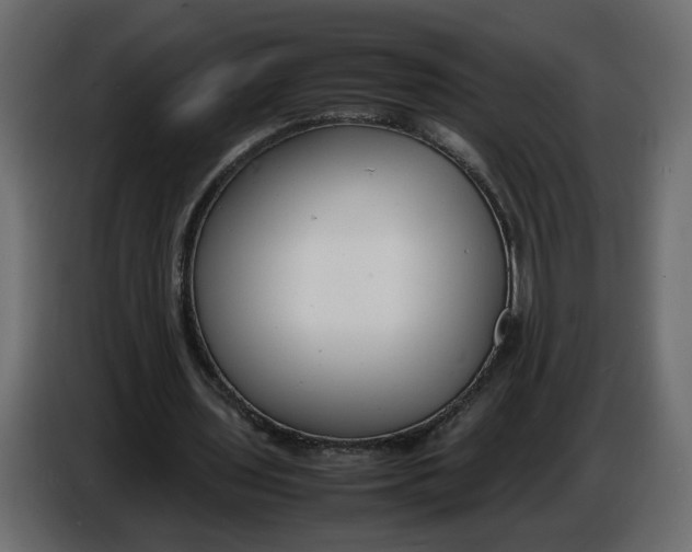 X0000086910435200705071307