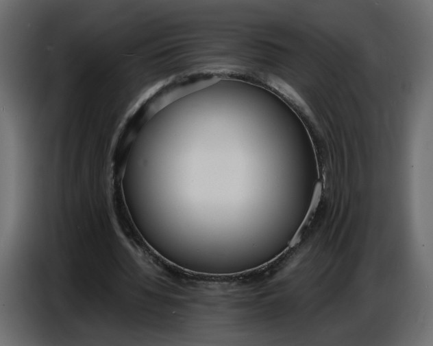 X0000086910436200705071307