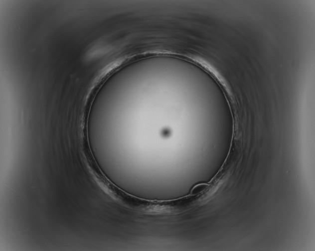 X0000086910437200705071307