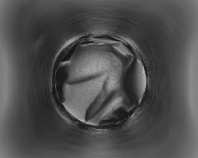 X0000086910438200705071307