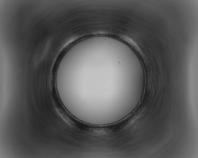 X0000086910439200705071307