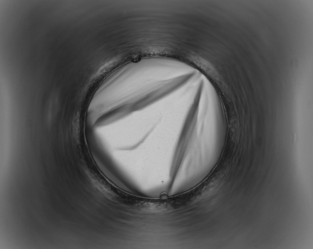 X0000086910442200705071307