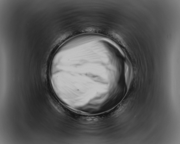 X0000086910443200705071307