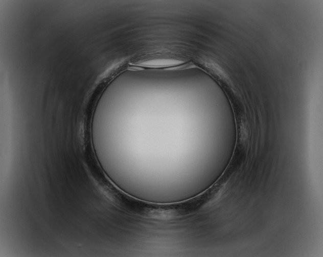 X0000086910444200705071307