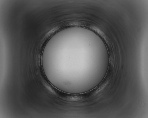 X0000086910445200705071307