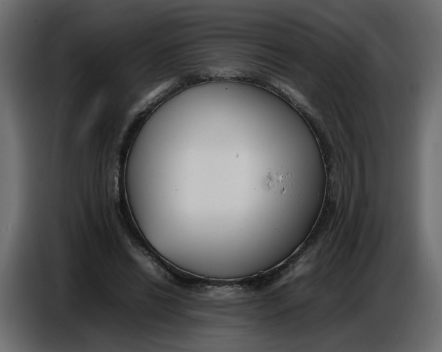 X0000086910446200705071307