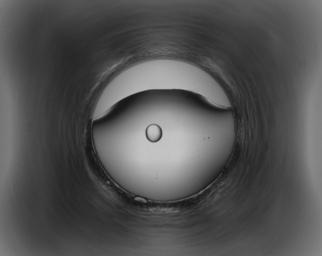 X0000086910448200705071307