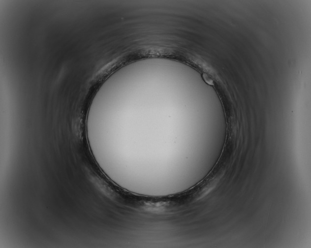 X0000086910450200705071307