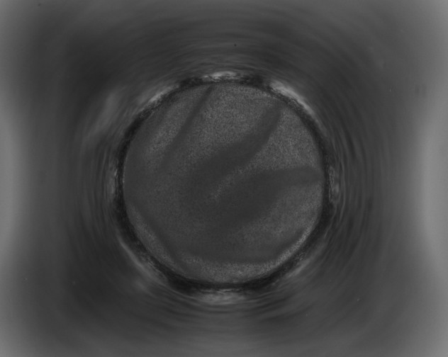 X0000086910451200705071307