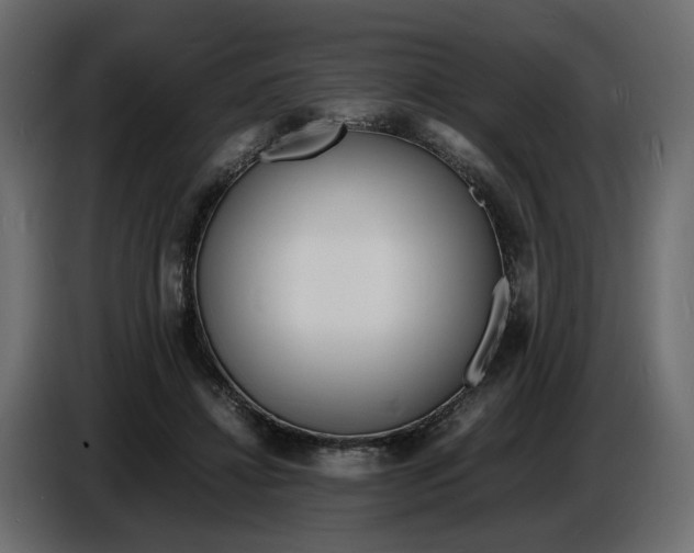 X0000086910452200705071307