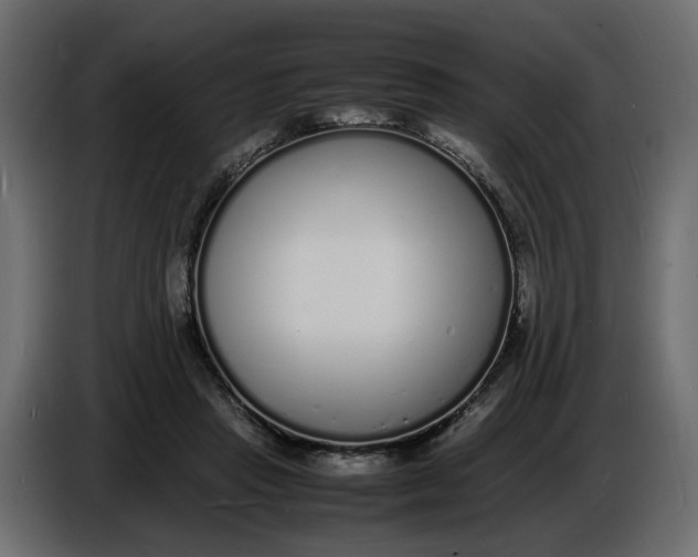 X0000086910453200705071307