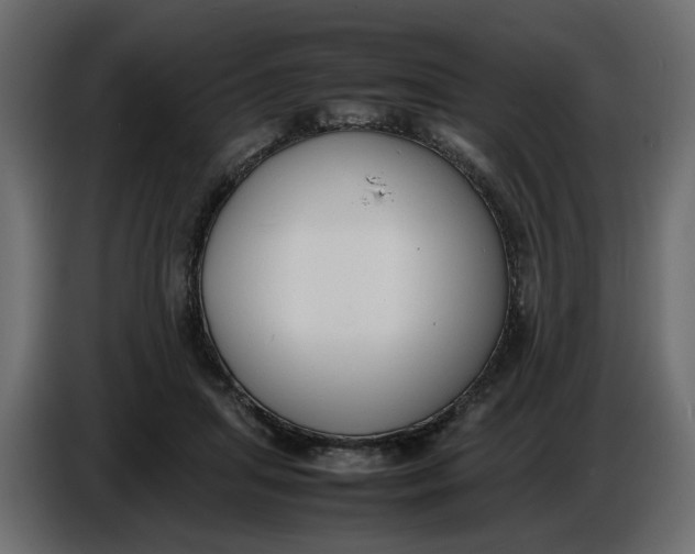 X0000086910455200705071307