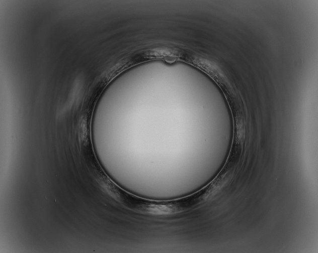 X0000086910457200705071307