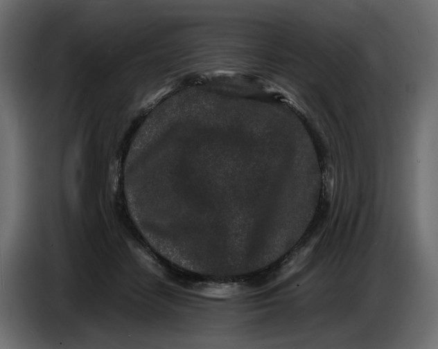 X0000086910458200705071307