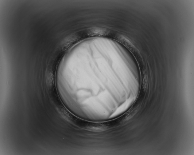 X0000086910459200705071307